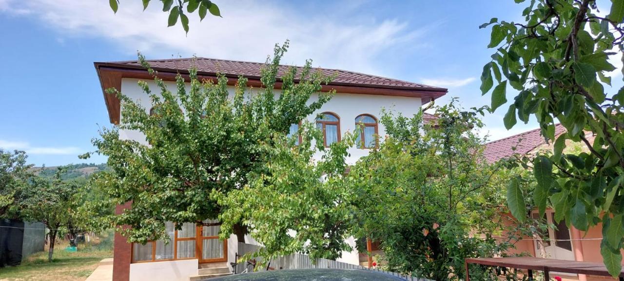 Agropensiunea Olteanu Niculitel エクステリア 写真
