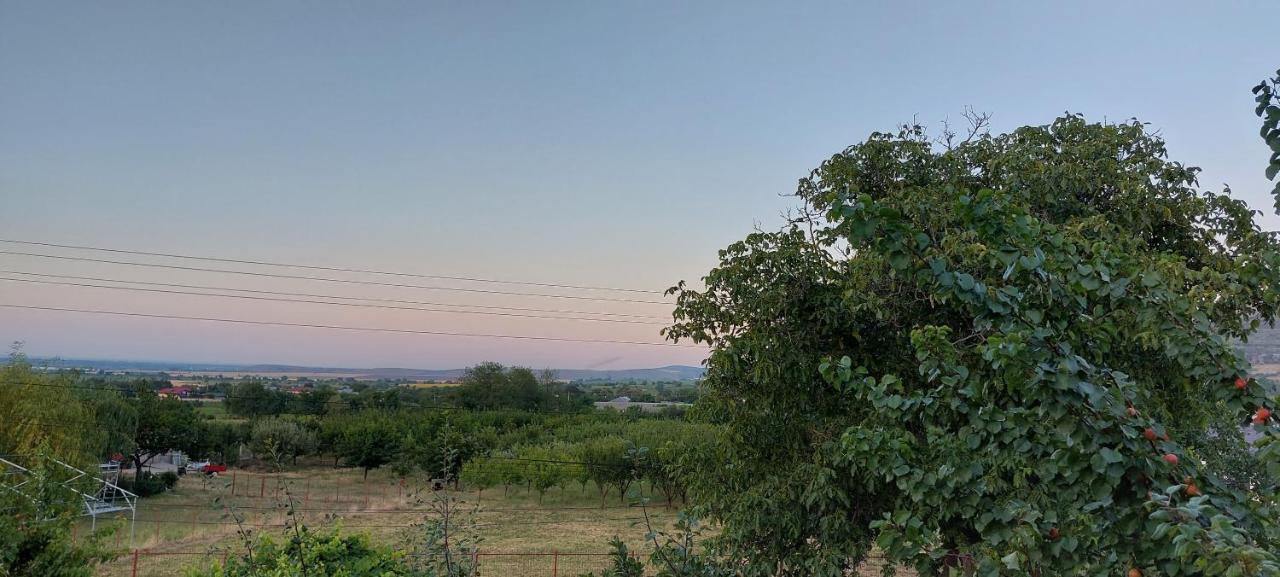 Agropensiunea Olteanu Niculitel エクステリア 写真